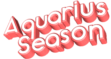 Astrology Aquarius Sticker by GIPHY Text