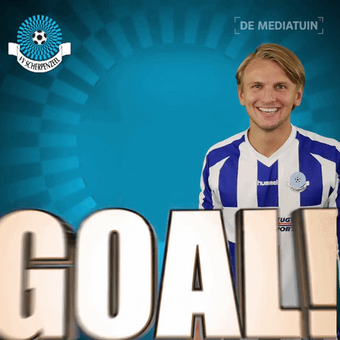 Voetbalvereniging_Scherpenzeel voetbal bal blauwwit hoofdklasse GIF