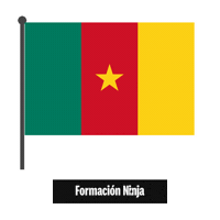 Cameroon Flag Sticker by Formación Ninja