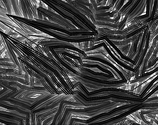 generative GIF by Leon Denise