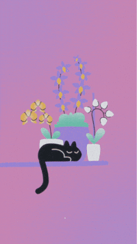 Ssaft GIF