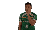 Handball-Bundesliga Sport Sticker by LIQUI MOLY HBL