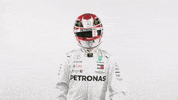 Formula 1 F1 GIF by Mercedes-AMG Petronas Motorsport