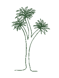 Summer Flower Sticker by St Michaels Resort