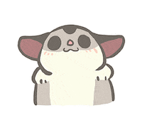 Sugar Glider Tapioca Sticker