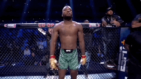 Mixed Martial Arts Sport GIF by UFC
