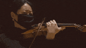 Mcgillu GIF by McGill University