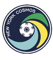 Soccer Nyc Sticker by New York Cosmos