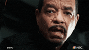 Special Victims Unit Nbc GIF by Law & Order