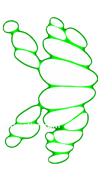 Animation Wipe Sticker by youmotion.com