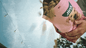 Dog Food GIF by Jinx
