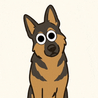 K9GRAPHICS german shepherd k9 police dog k9 handler GIF