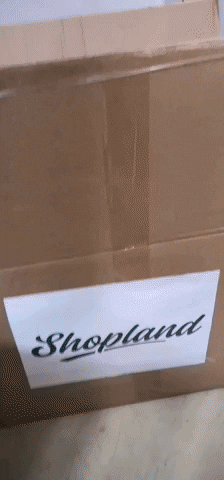 shoplandpikasi giphyupload GIF