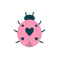 Lady Bug Love Sticker
