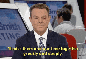fox news shep smith GIF