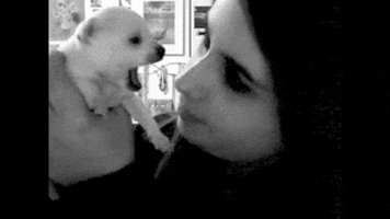 dog woman GIF