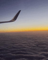 Flying First Class GIF by LorenzoTheGawd