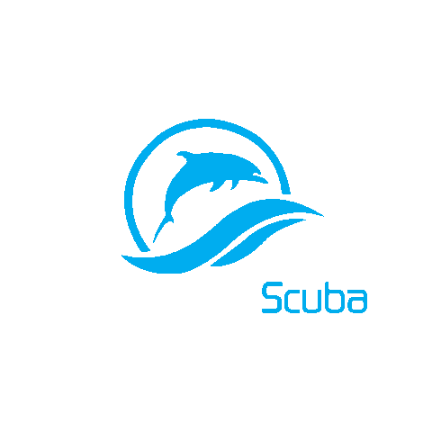 divemasterscuba giphygifmaker Sticker