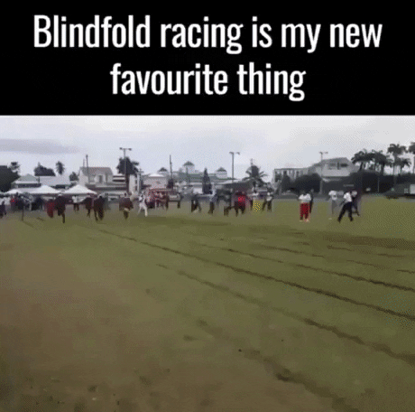 GifVif giphyupload blindfold racing GIF