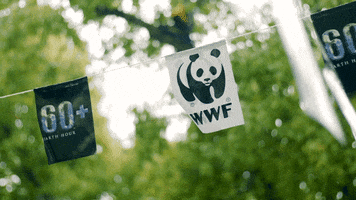 Panda Wwf GIF by Earth Hour