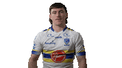 The Wire Sticker by Warrington Wolves