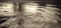 Fall Falling GIF by Sam Amidon
