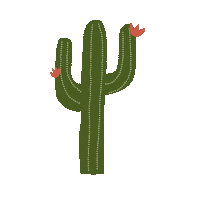 Cactus Flower Summer Sticker by VillaValentin