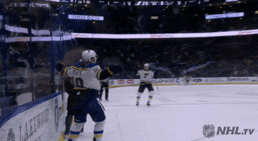 Ice Hockey Sport GIF by NHL