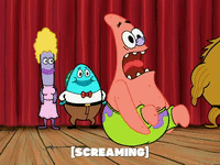 season 5 GIF by SpongeBob SquarePants