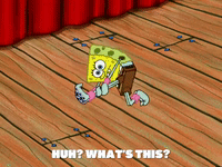 season 5 GIF by SpongeBob SquarePants