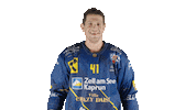 ekzellereisbaeren eishockey 41 alpshockeyleague zell am see Sticker