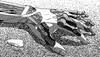 it's nice that black and white GIF by mattisdovier