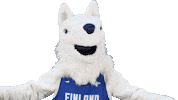 National Team Sport Sticker by Basket_fi