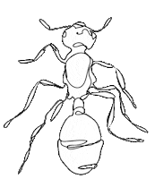 Halloween Horror Sticker by The Swan Collective