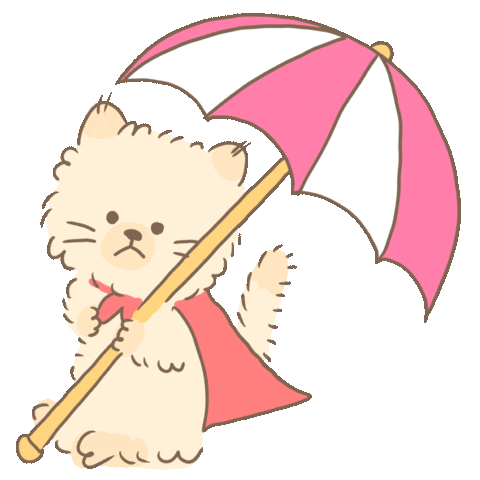 Cat Summer Sticker by koimoffee