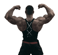 fitness day Sticker by XXL Nutrition