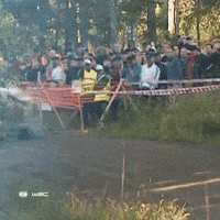 Rallying Rally Finland GIF by FIA World Rally Championship