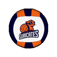 Club Ballon Sticker by Swiss Dodgeball