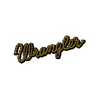 fashion love Sticker by Wrangler