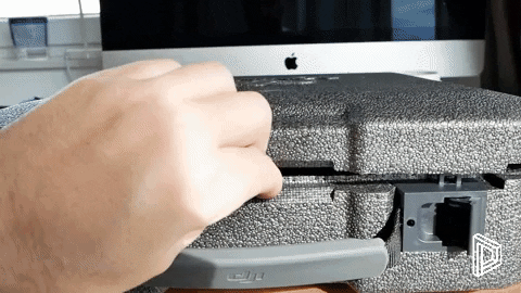zeppastian giphygifmaker giphyattribution GIF