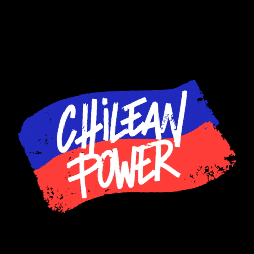 walmartchile giphyupload walmart chile chilean power GIF