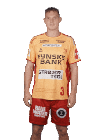Celebration Handball Sticker by GOG Sport