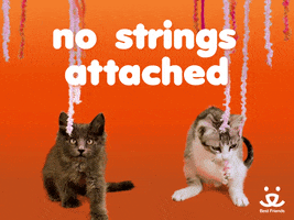 save them all best friends GIF by Best Friends Animal Society