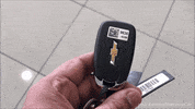 Driving Lets Go GIF by Namaste Car