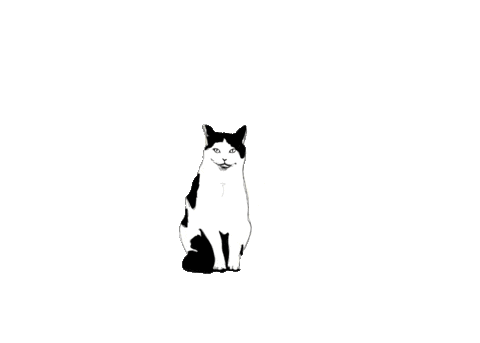Cats Tu Sticker by Trinity University