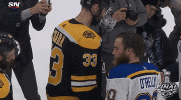 ice hockey sport GIF by NHL