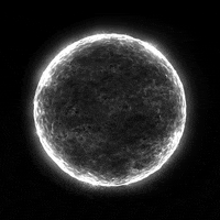 Good Morning Loop GIF by xponentialdesign