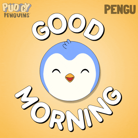 Good Morning GIF by Pudgy Penguins