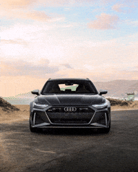 audichile  GIF