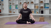 Yoga Yogateacher GIF by YOGABODY
